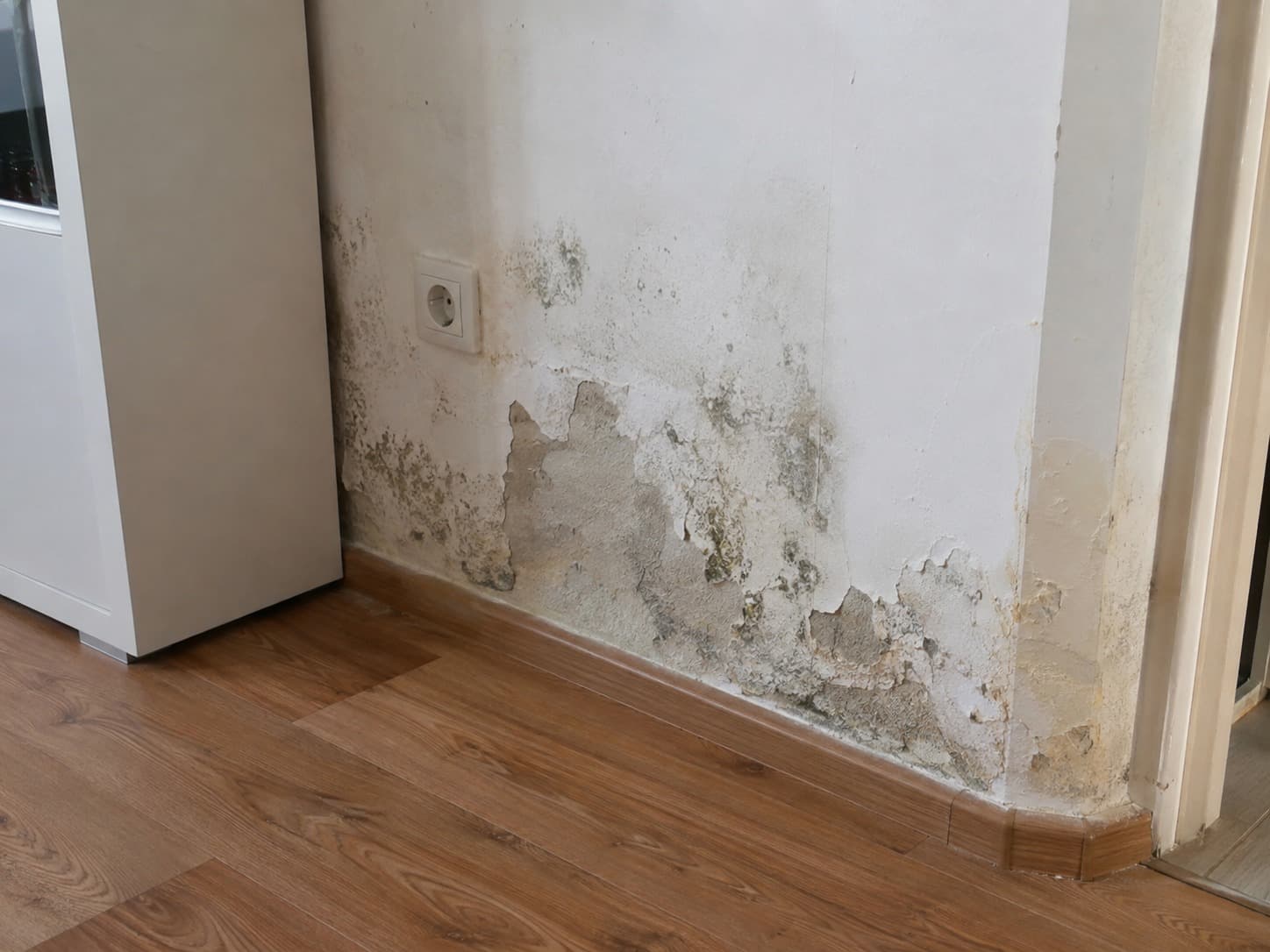 Pared con humedad antes de la reparación, con pintura levantada y manchas de moho junto al rodapié